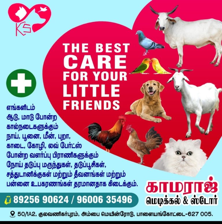 2024 03 17 13.35.47 768x773