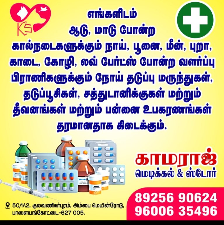 2024 03 17 13.35.54 768x773