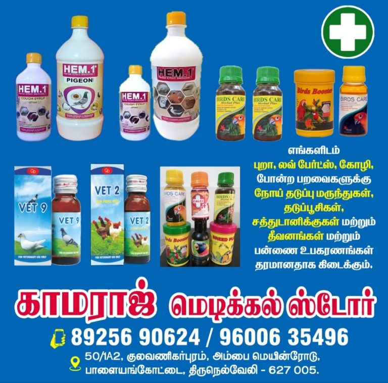 2024 03 17 13.36.00 768x758