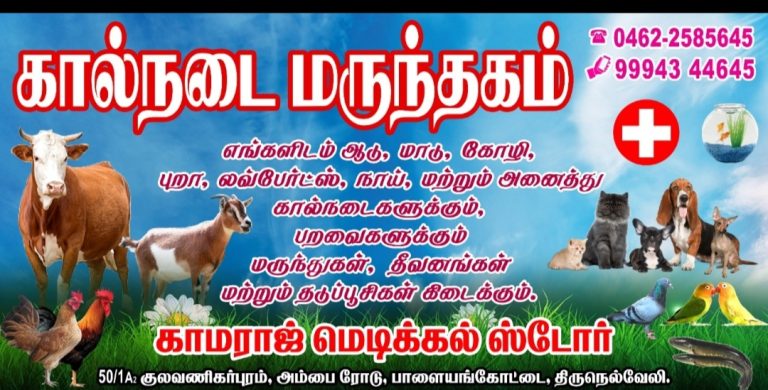 2024 03 17 13.36.07 768x390