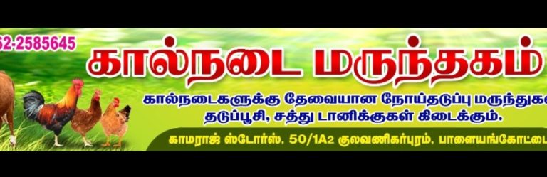 2024 03 17 13.36.18 768x249