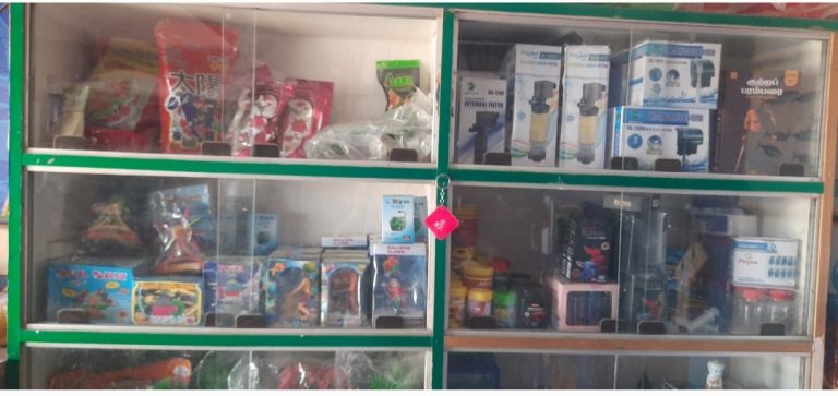 2025 02 19 23.47.27 768x363